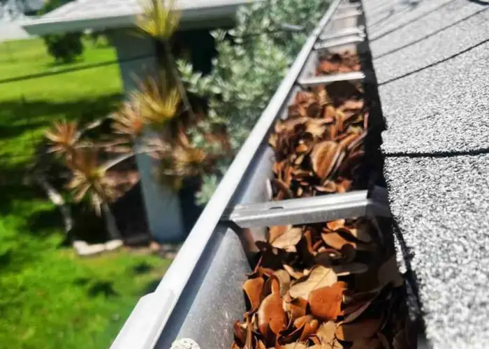 Burke gutter cleaning home page